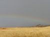 painteddesertrainbow.jpg